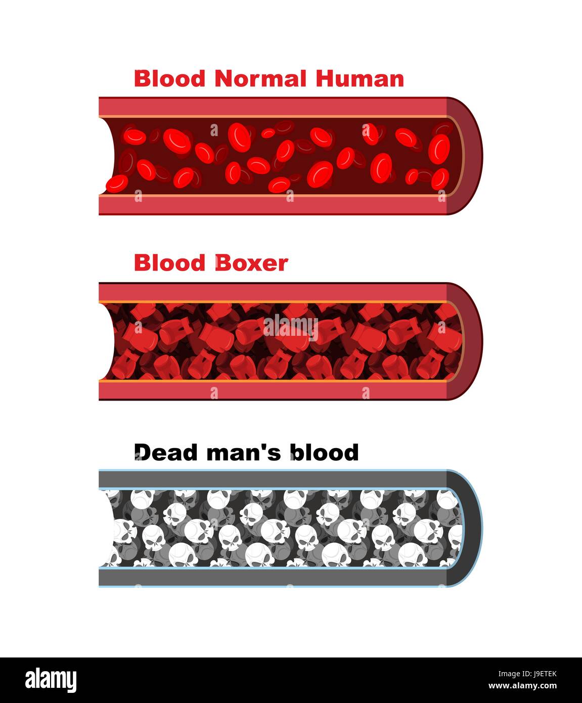 Blood Vessel Flow Chart Blood Vessel Flow Chart
