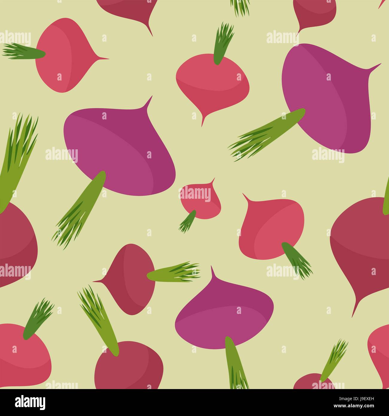 Sugarbeet Stock Vector Images Alamy