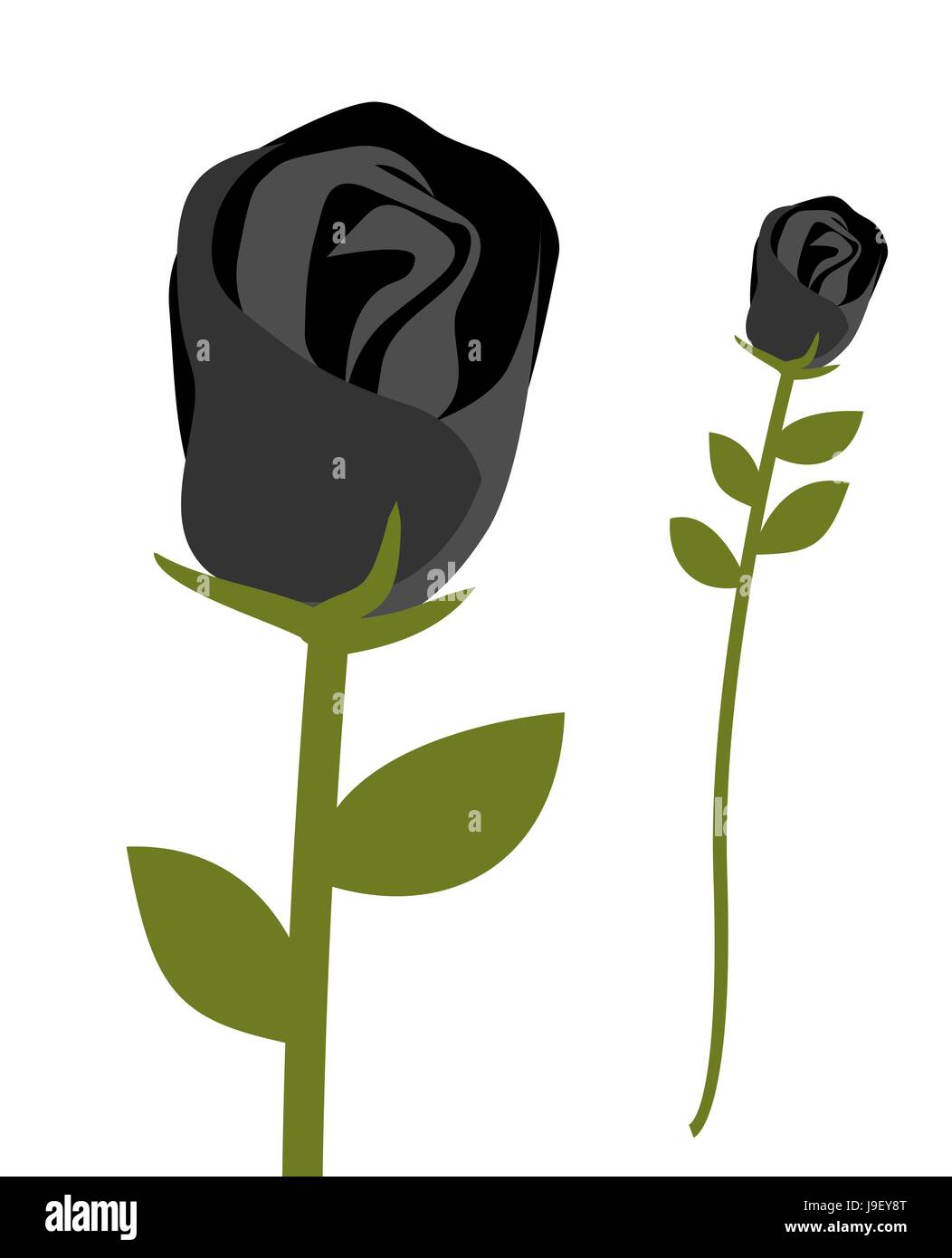 Black rose. Dark scary flower. Rose petals with black symbol of sadness