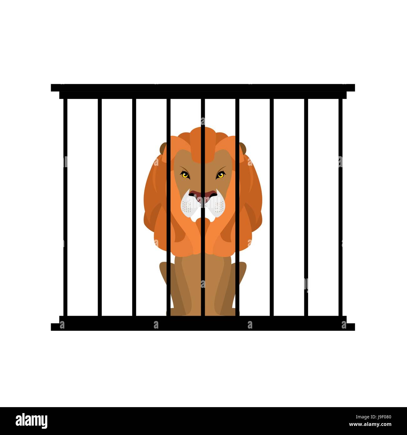 Lion In Zoo Cage Strong Scary Wild Animals In Captivity Big Hairy 
