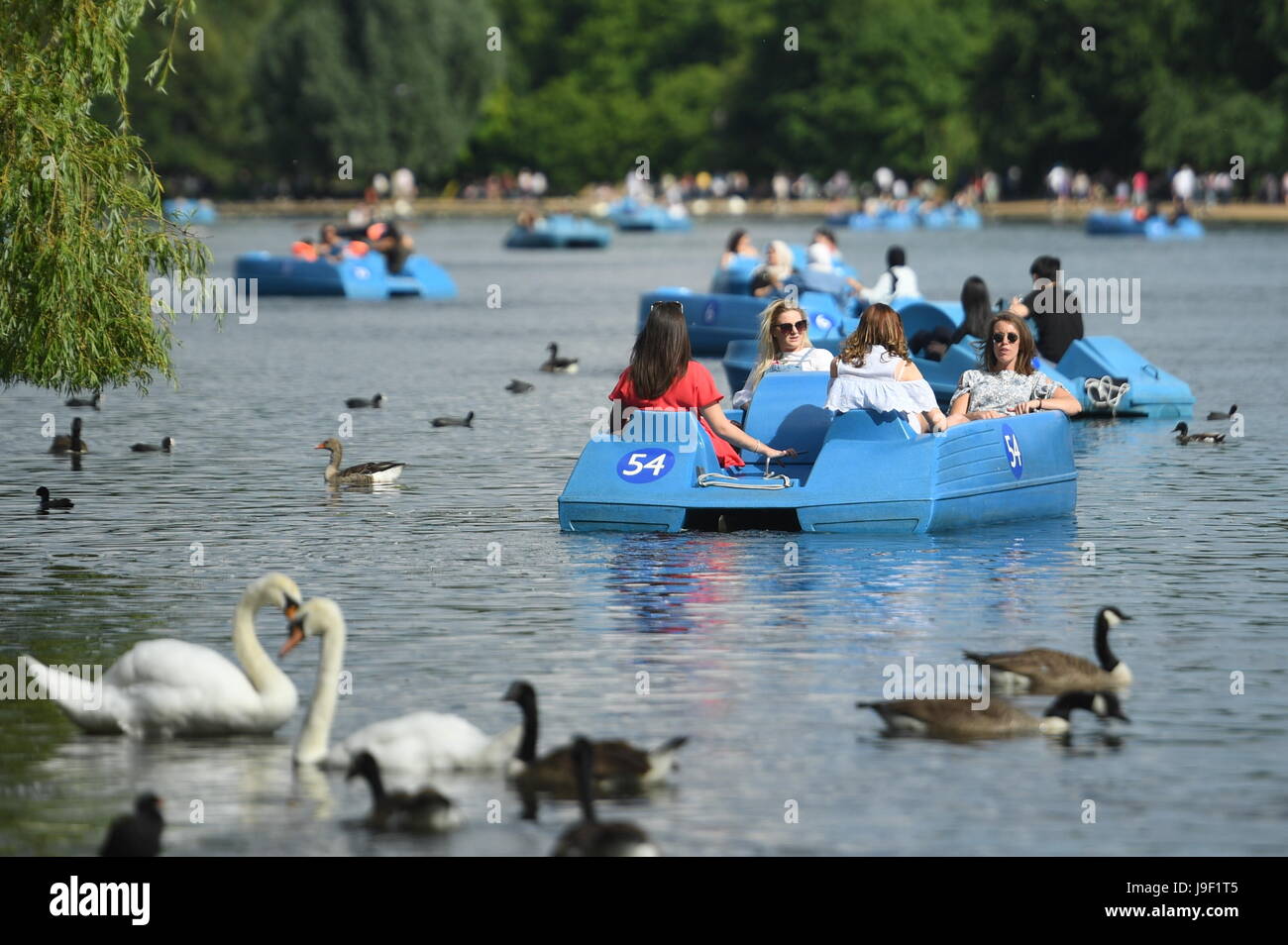 People ride pedalo boats on The Serpentine in Hyde Park, London Stock Photo Alamy