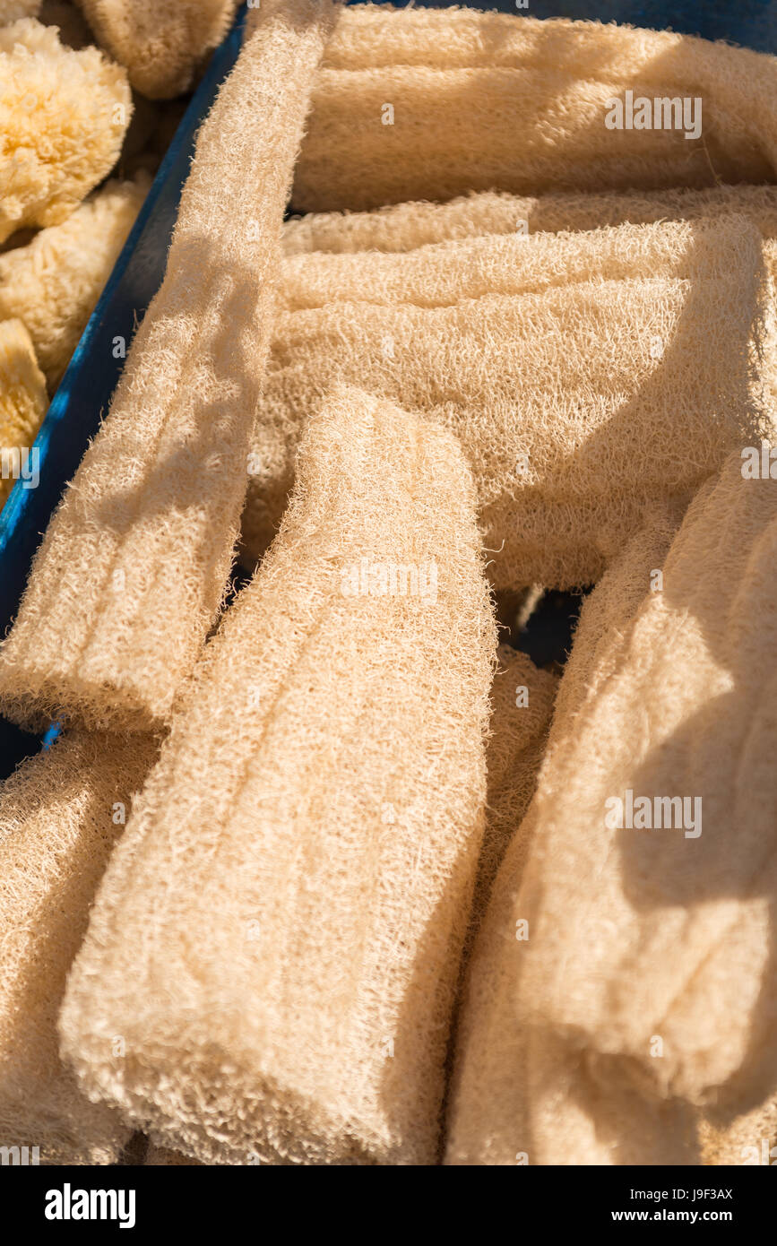 Natural honeycomb sea sponge hi-res stock photography and images - Alamy