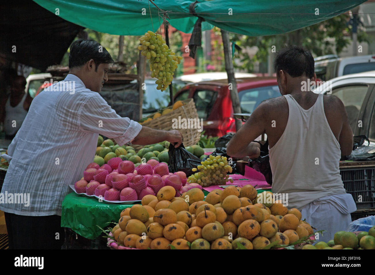 Mango mangos india hires stock photography and images Alamy