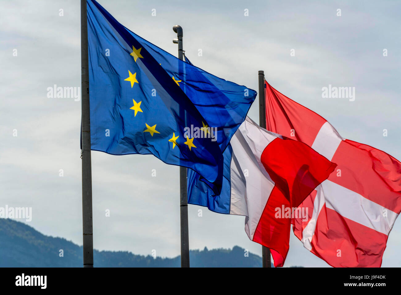 Savoie flag, European and French flags Stock Photo