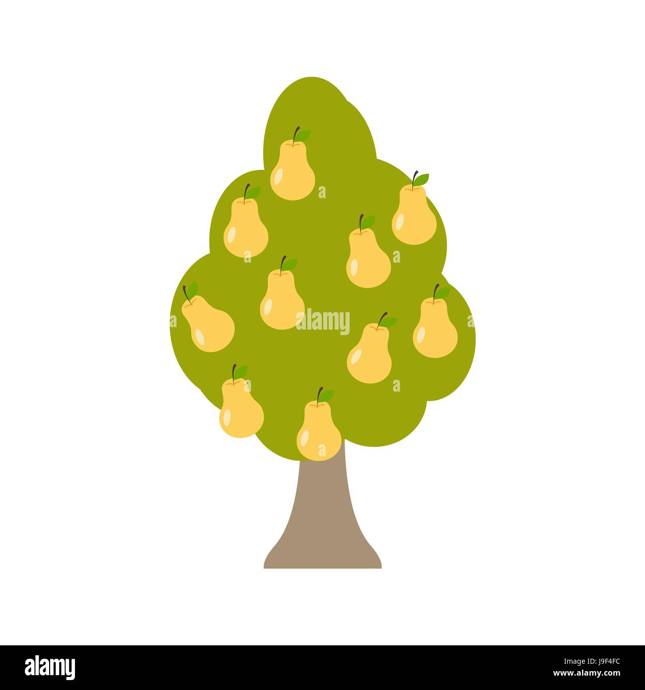 Pear tree isolated. Garden wood with pears on white background. Large ...