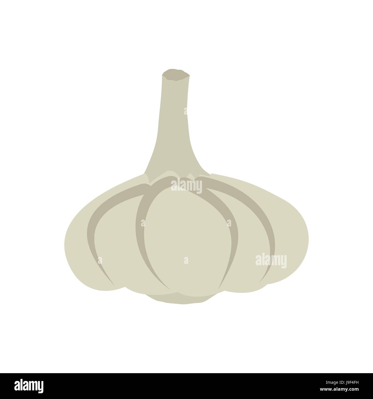 Garlic isolated. Vegetables on white background. Plant pungent taste and unpleasant smell Stock Vector