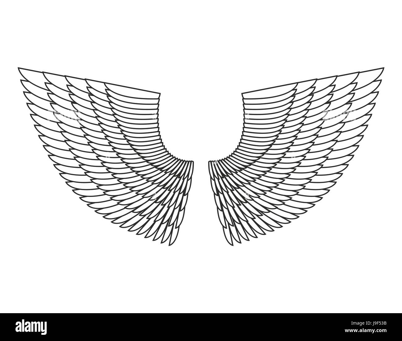 Angel Wings Isolated. White Feather wing of bird Stock Vector Image ...