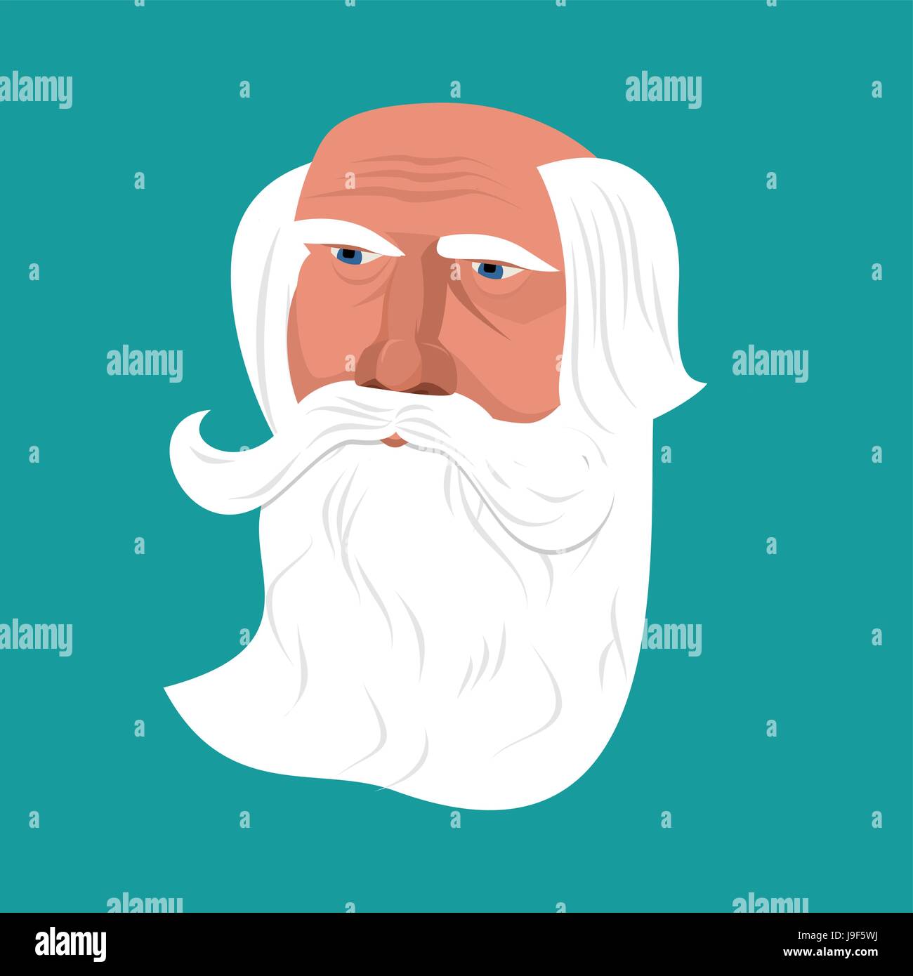 Grandfather with gray beard face isolated. head Old man. Retired with