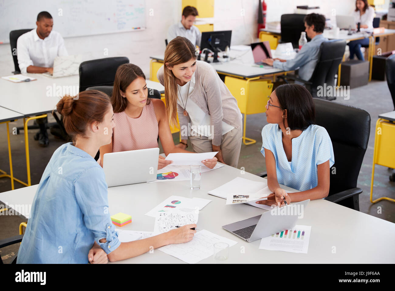 Four young businesswomen working in a busy open plan office Stock Photo