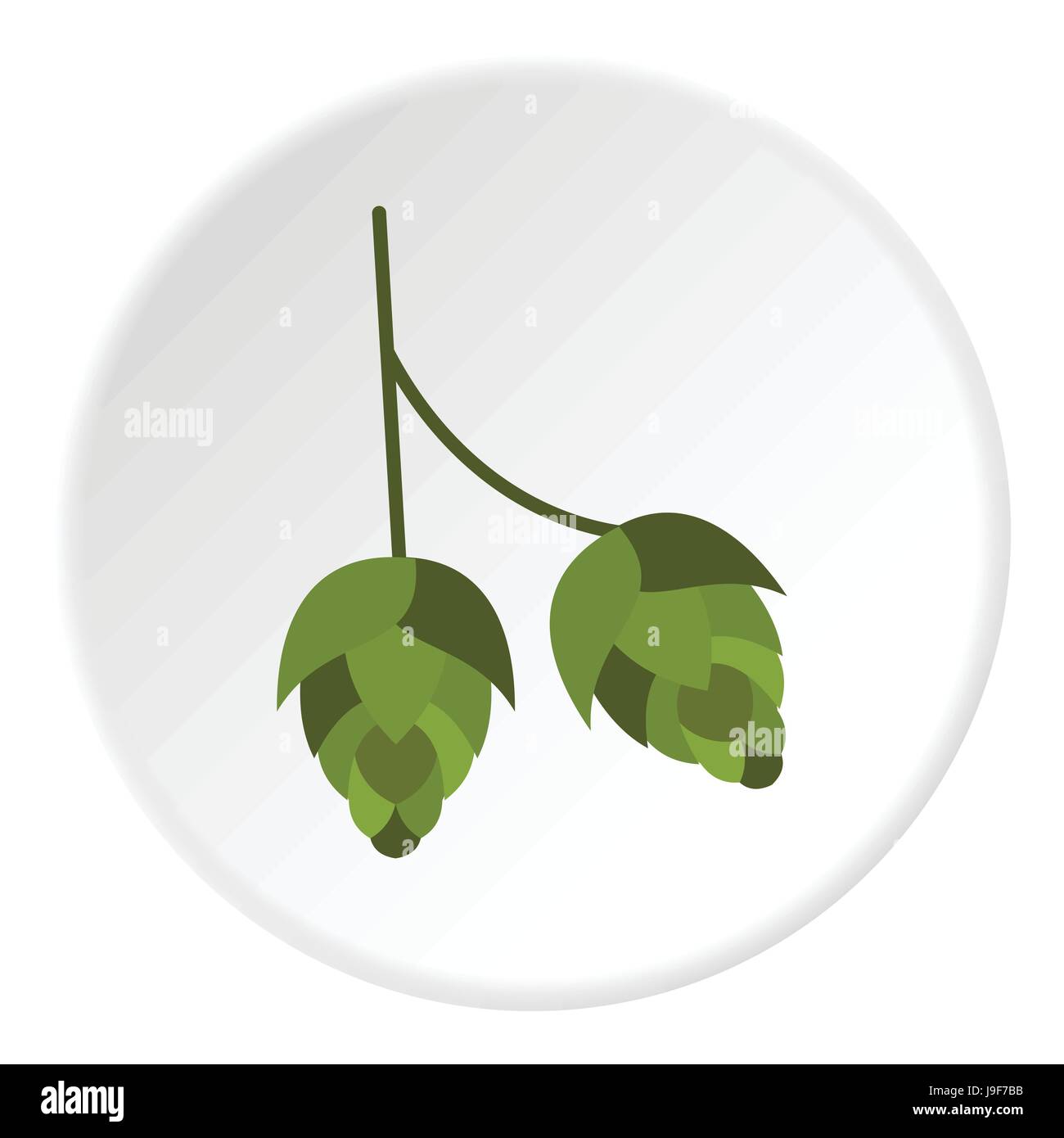 Beer isolated ale bitter lager hops hi-res stock photography and images ...