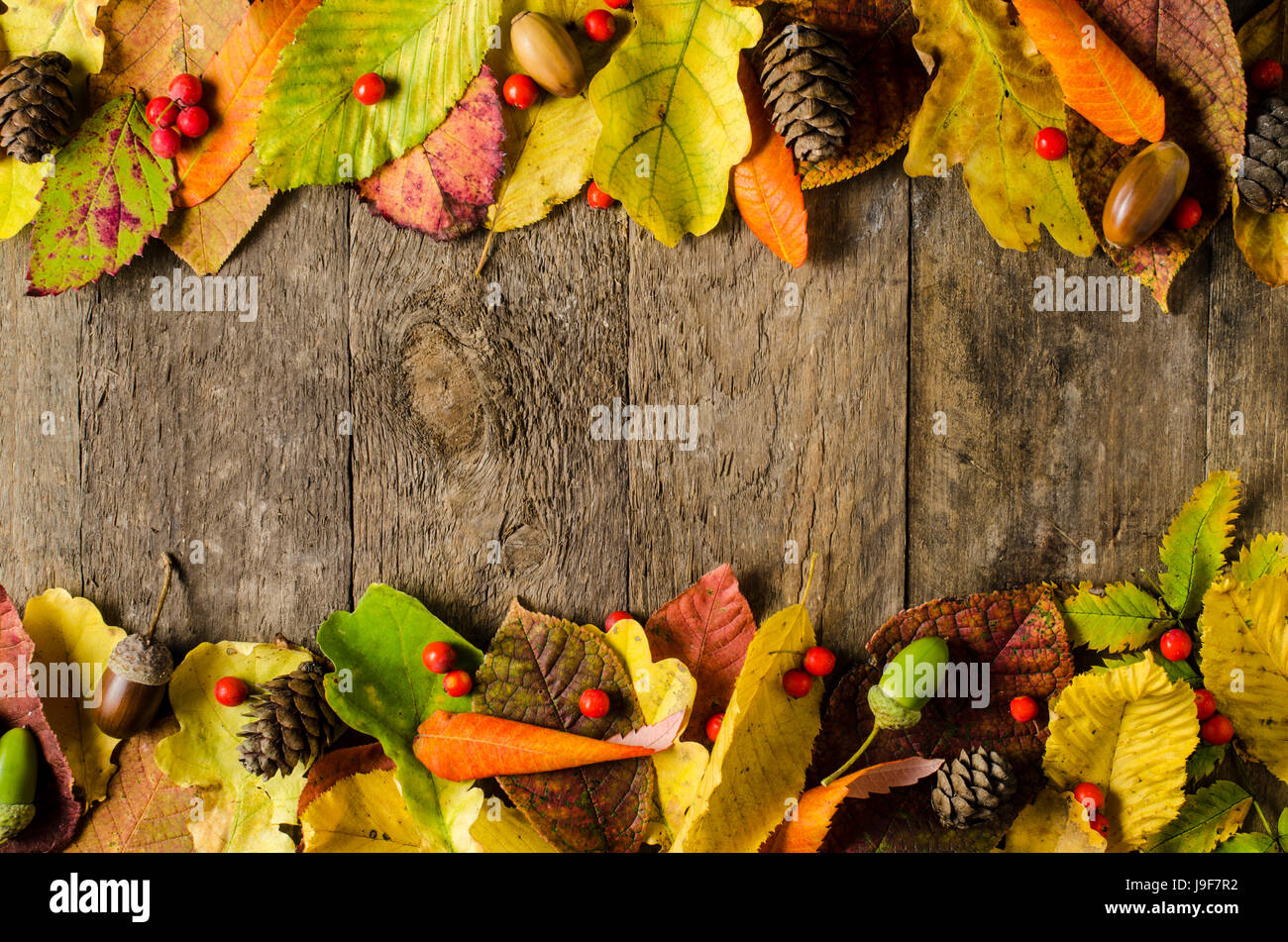 Autumn leaves background Stock Photo - Alamy