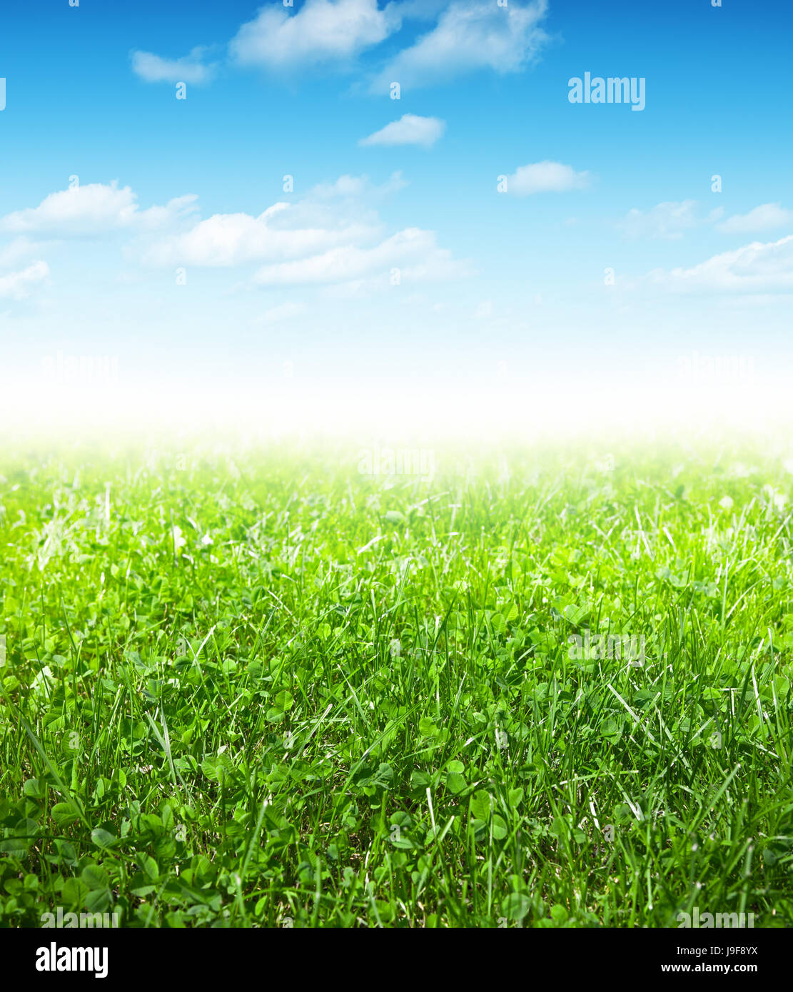 cloud, summer, summerly, spring, landscape, scenery, countryside ...