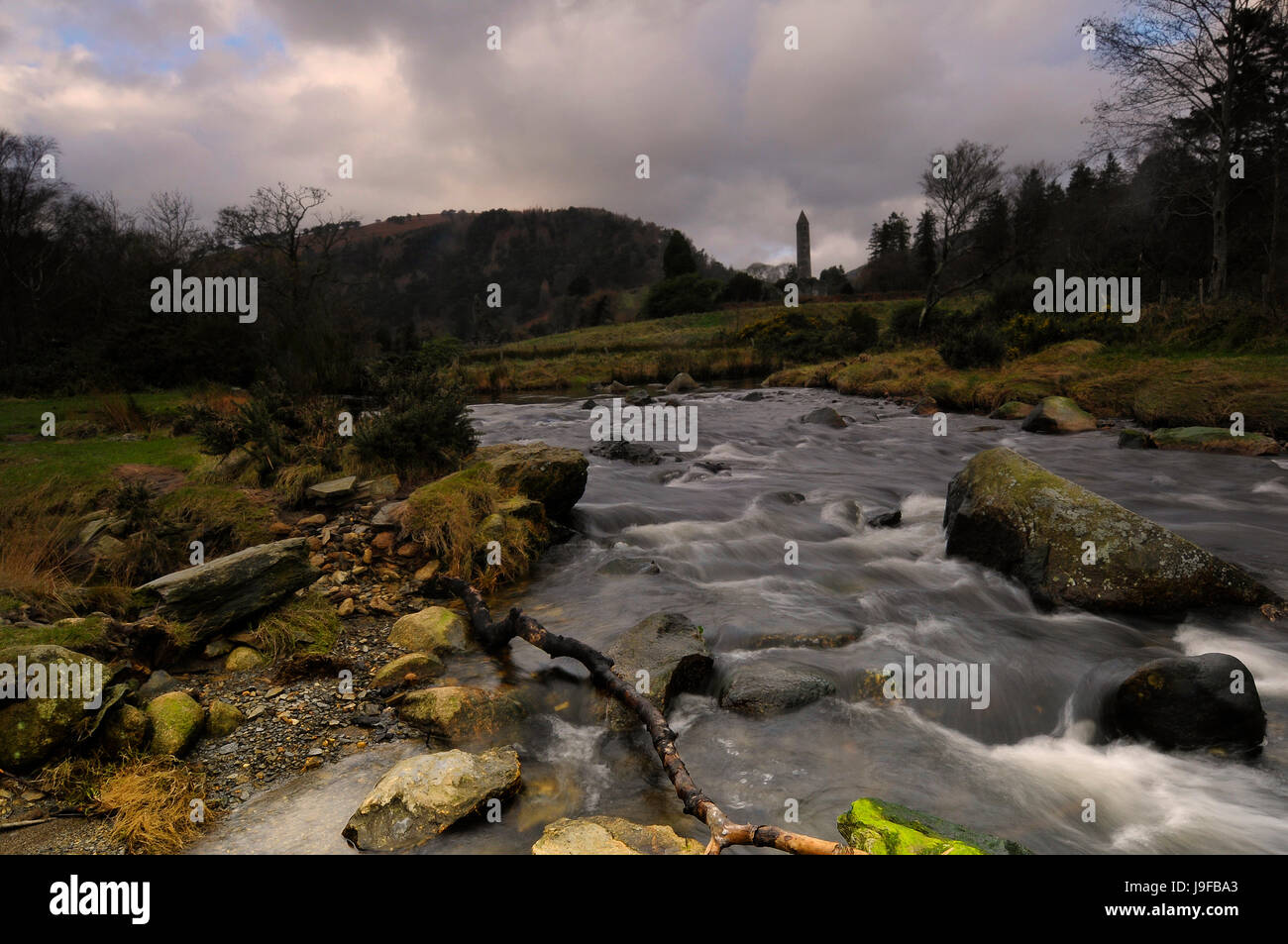 blue, environment, enviroment, tree, trees, winter, ground, soil, earth ...