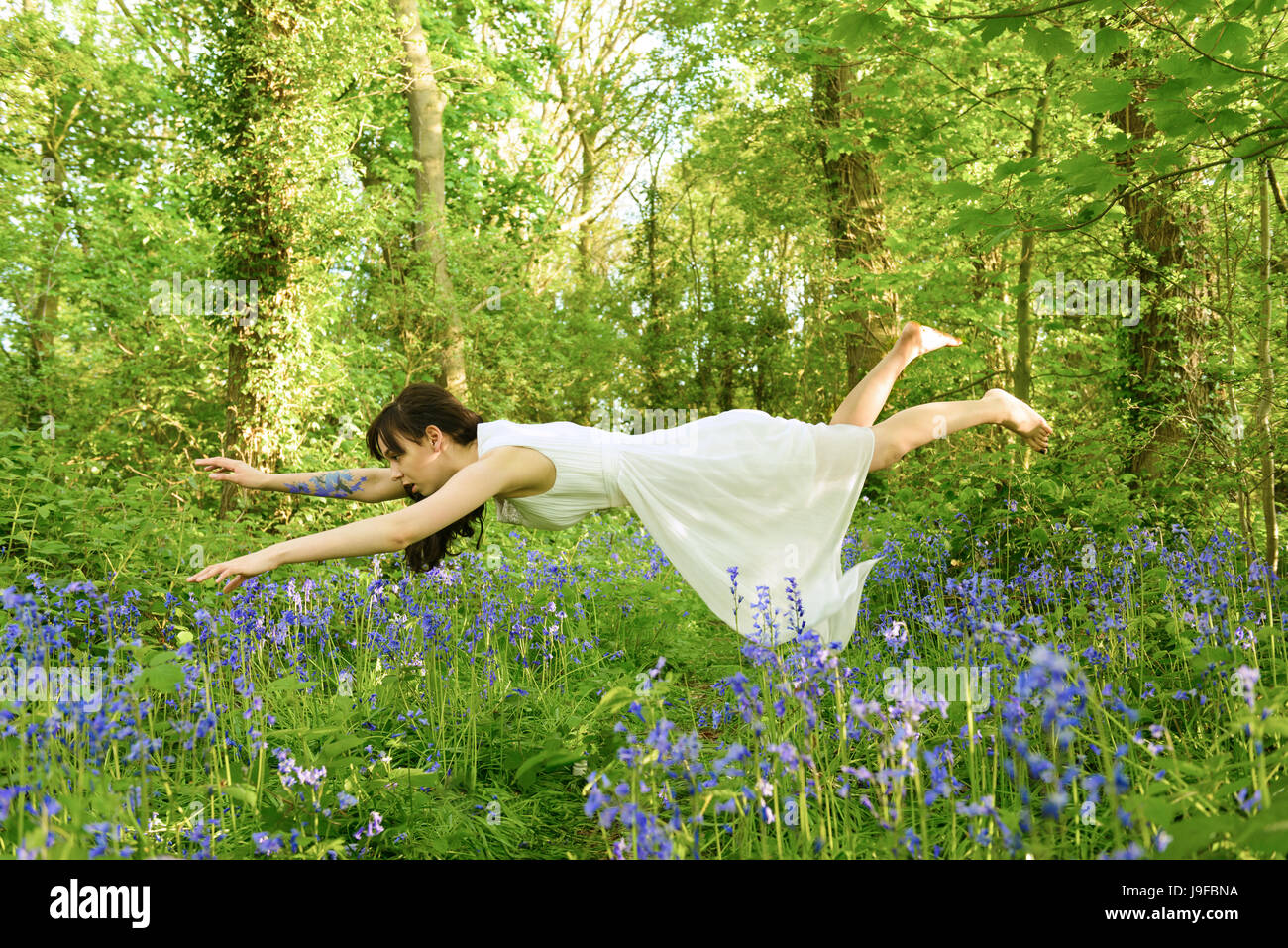 Young woman levitating amongst bluebell flowers in British woodland Stock Photo