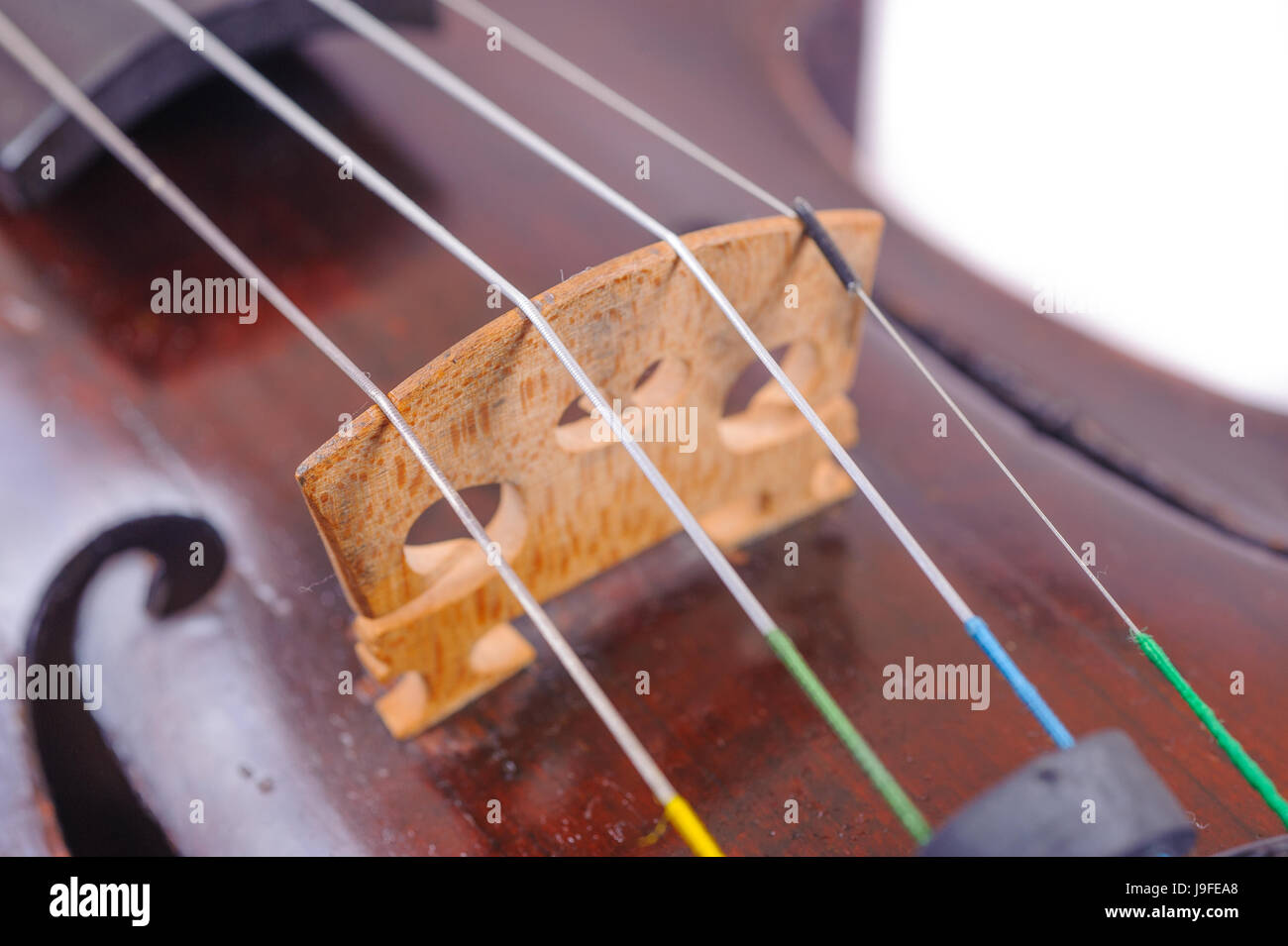one violin image .old brown stringed wooden instrument close up view ...