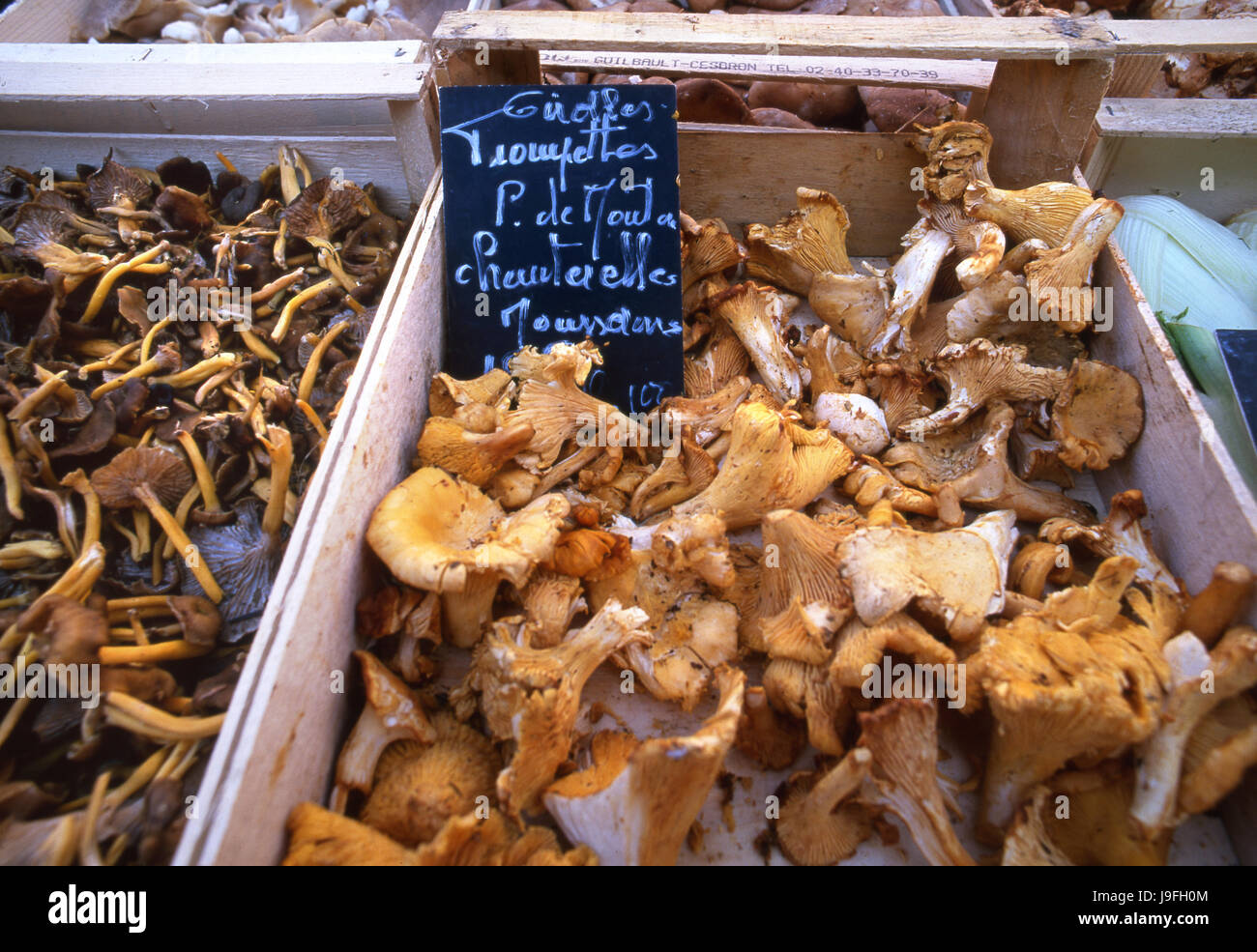 GIROLLES CHANTERELLE MUSHROOMS ORGANIC MARKET STALL Blackboard name plaque promoting Chanterelle