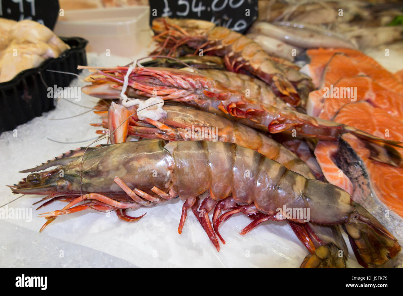 Large shrimp best sale