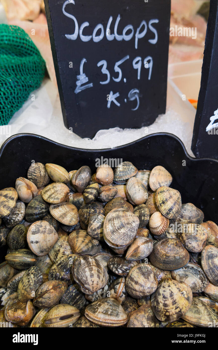 Kg price / kilogram tag board & selection of wet fish / scallops at the indoor market stall / stalls of West Quay, Whitstable Harbour, Kent UK. Stock Photo