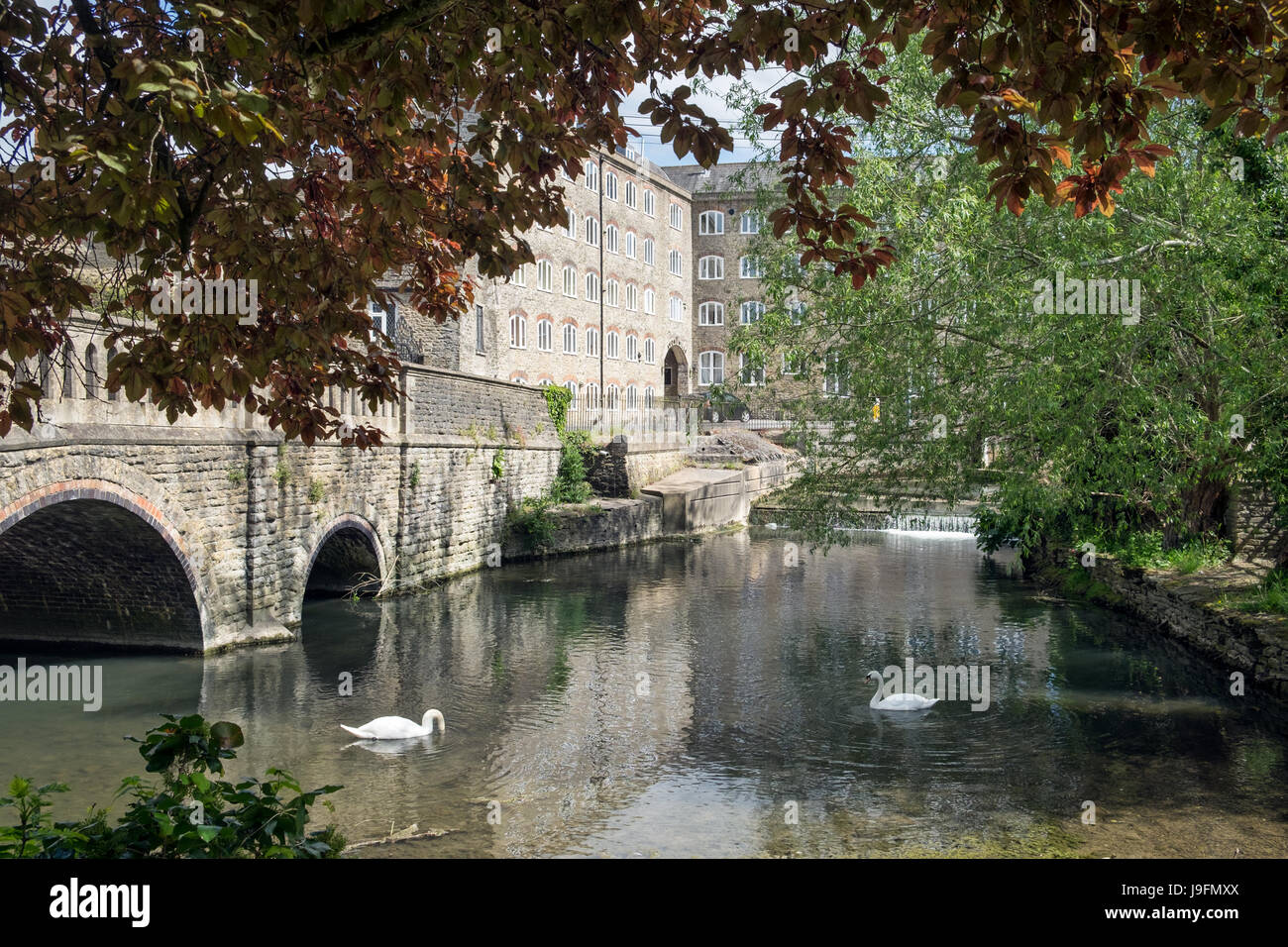 Two swans in the river Avon by the road bridge and Avon Mill at Malmesbury, Wiltshire, UK Stock Photo