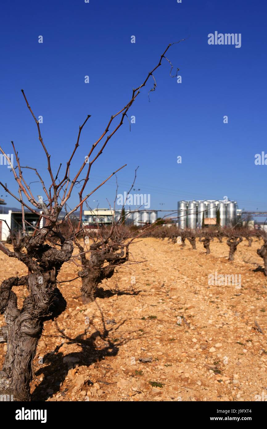 blue, house, building, tree, trees, industry, wood, ground, soil, earth ...