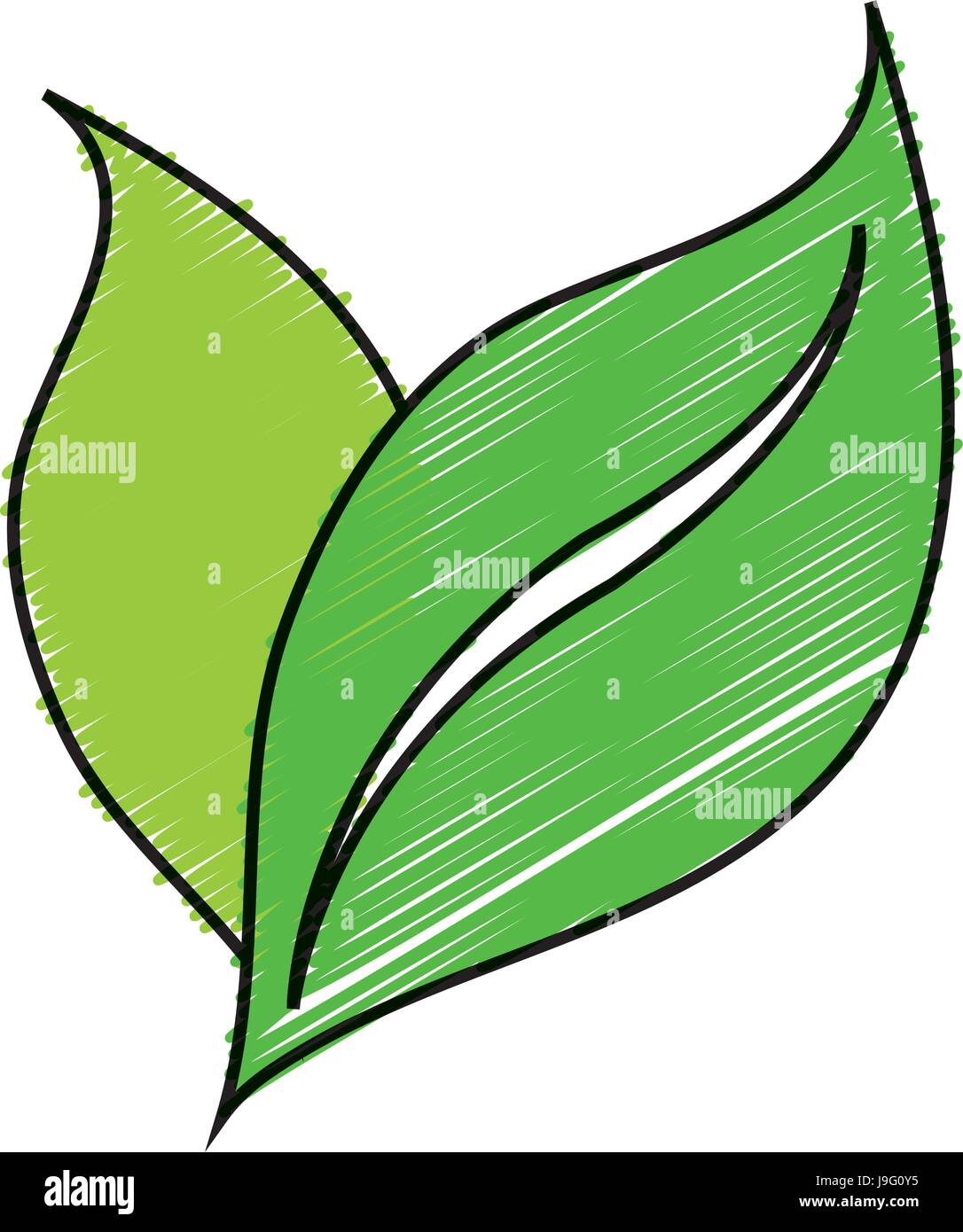 leaves icon image Stock Vector Image & Art - Alamy