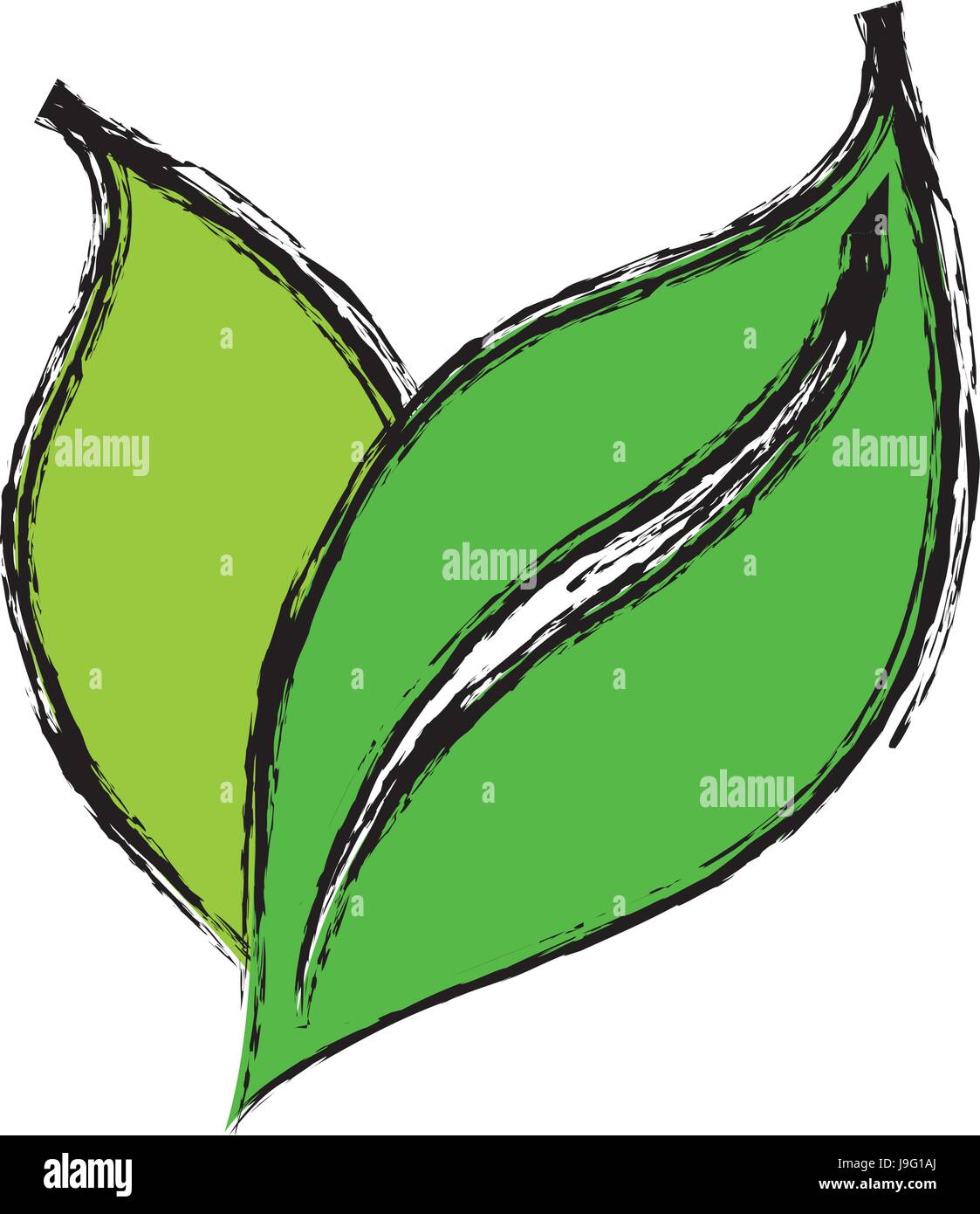 leaves icon image Stock Vector Image & Art - Alamy