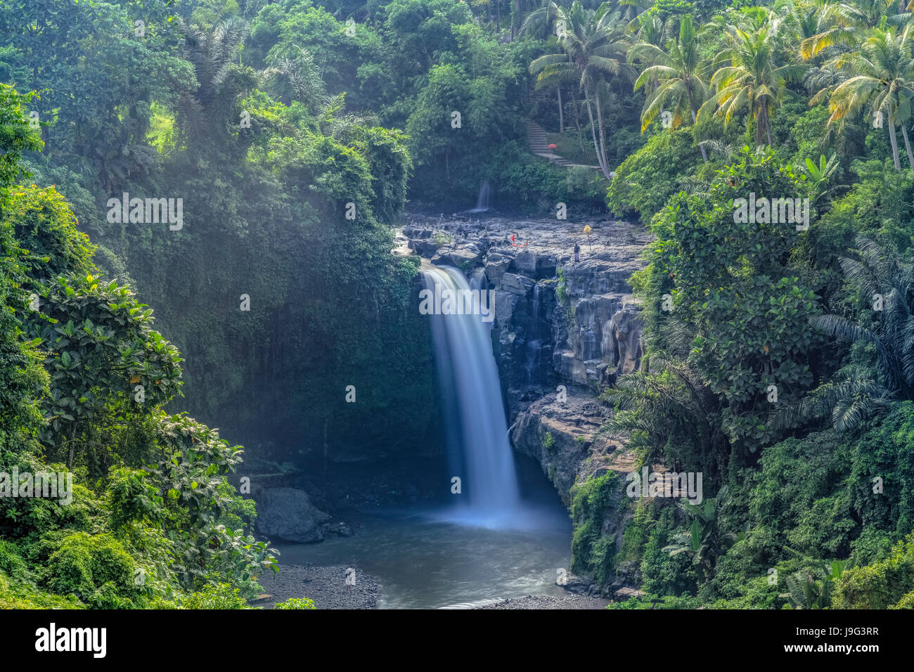 Terjun Blangsinga Waterfall, Ubud, Bali, Indonesia, Asia Stock Photo