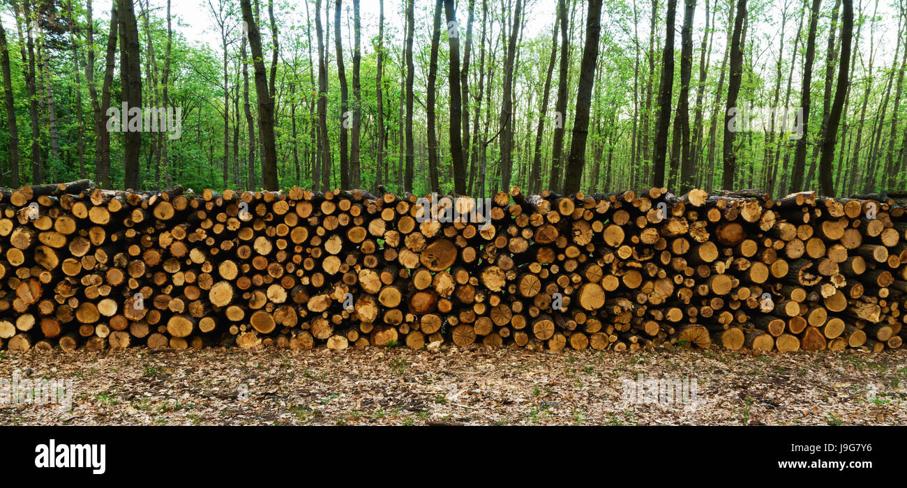 tree, wood, timber, heap, pile, many, trunk, leaf, tree, industrial ...