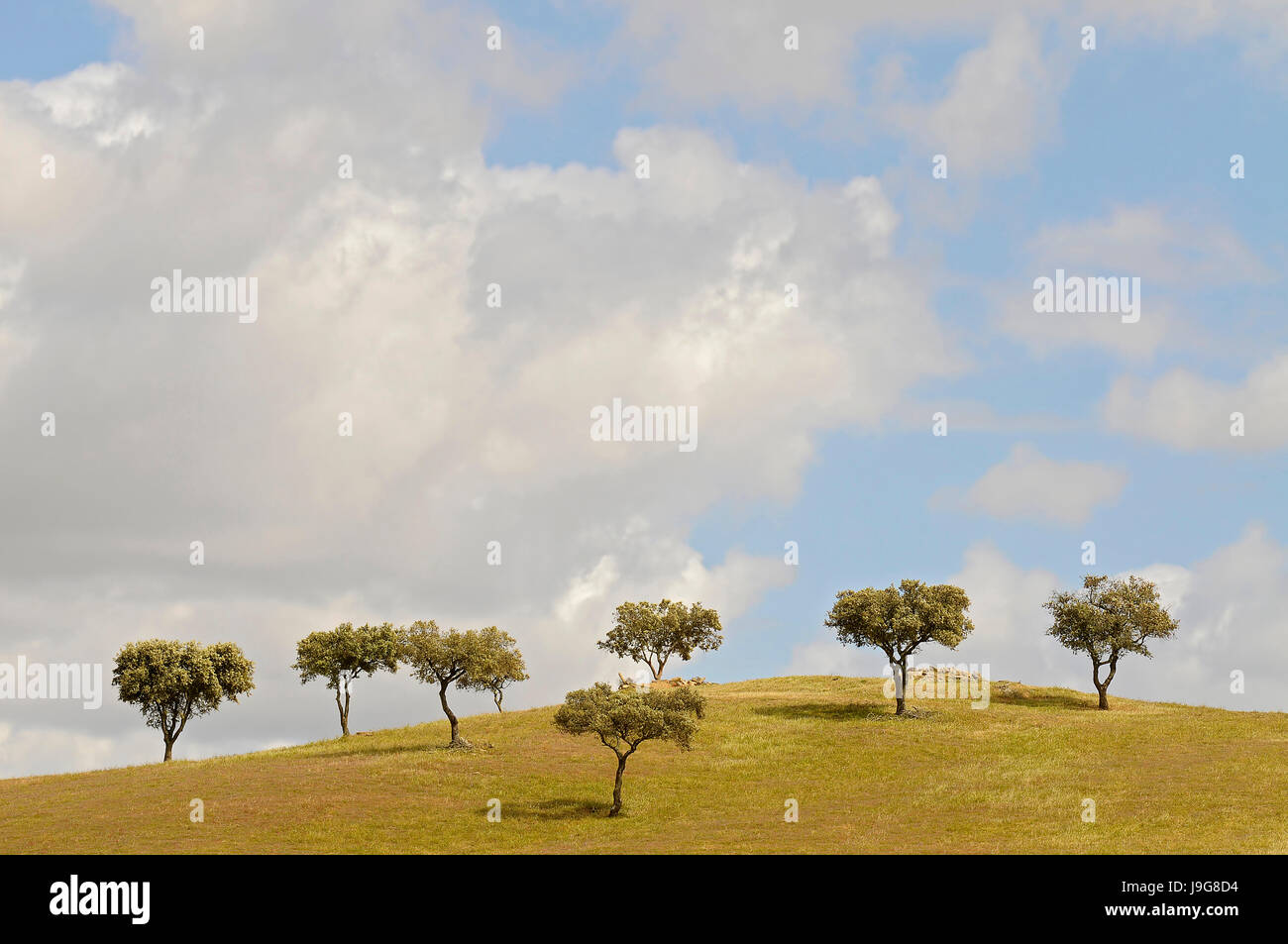blue, beautiful, beauteously, nice, environment, enviroment, colour ...