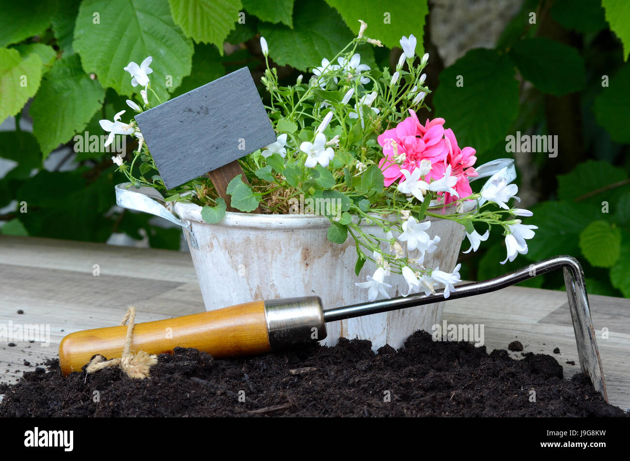 plants garden potting soil Stock Photo