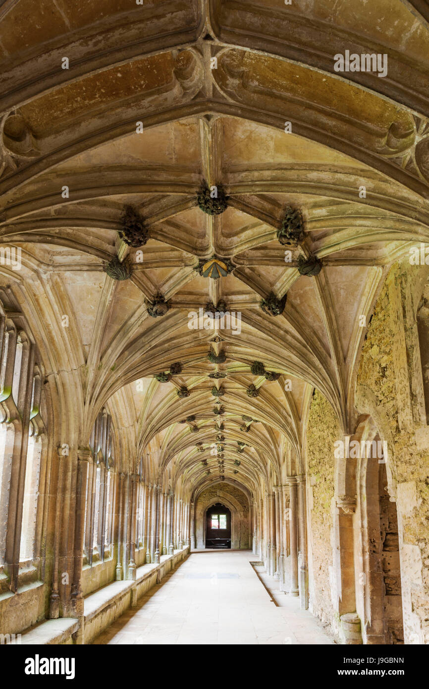 England, Somerset, Lacock, Lacock Abbey, The Cloisters Stock Photo