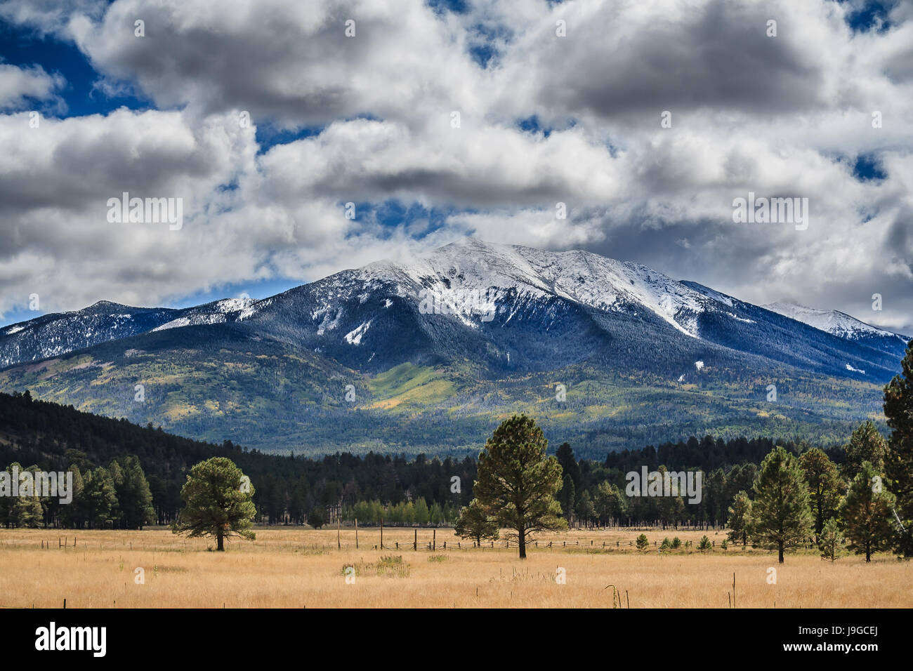 Summer lingers, with touches of Fall and Winter descends on the San Francisco Peaks.  Flagstaff, AZ. Stock Photo