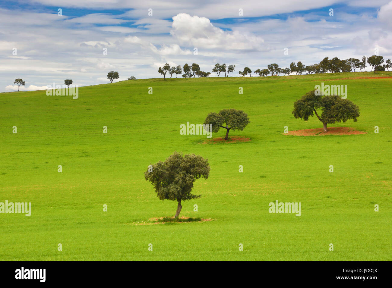 Spain, Castilla La Mancha Region, Guadalajara Province, landscape, Stock Photo
