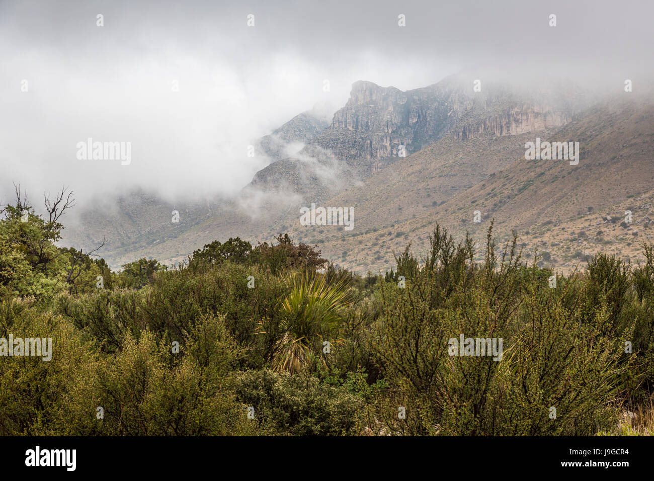 Pine Springs, Texas - A storm over the Guadalupe Mountains in Guadalupe Mountains National Park. Stock Photo