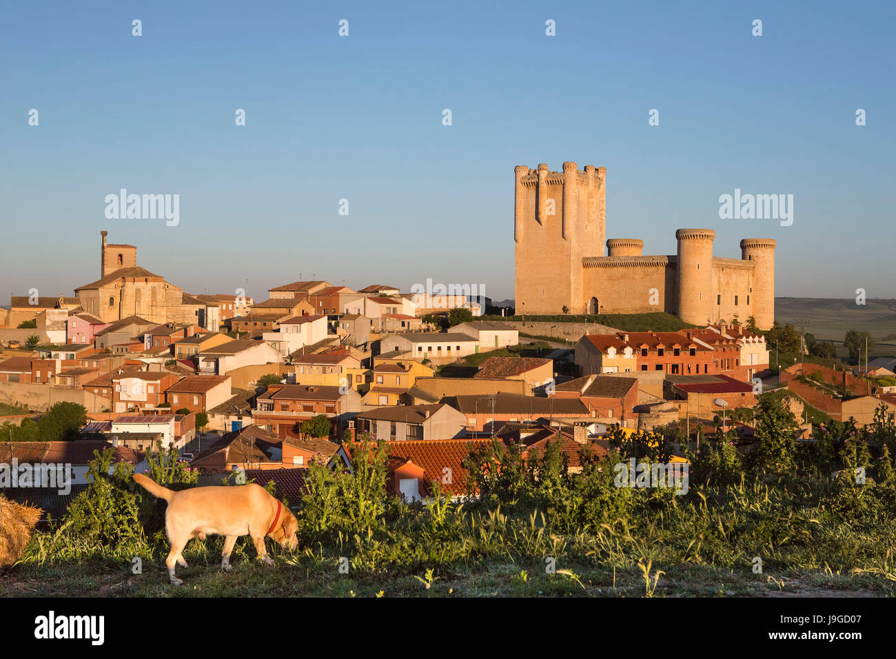 Spain, Castilla Leon Community, Valladolid Province, Torelobaton Castle, Stock Photo