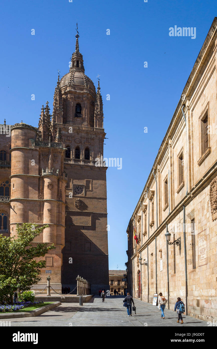 Spain, Castilla Leon Community, Salamanca City, Salamanca Cathedral, Stock Photo