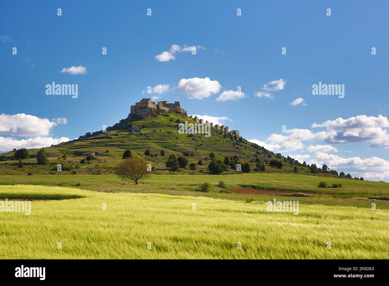 Spain, Castilla Leon Community, Soria Province, Gormaz Castle, Stock Photo