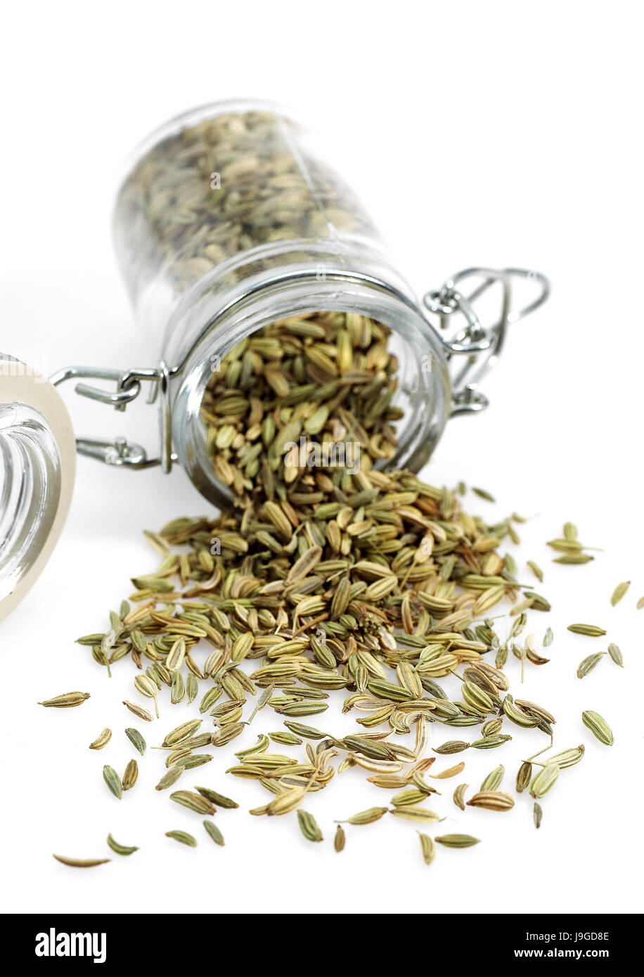 Spice fennel plant hires stock photography and images Alamy
