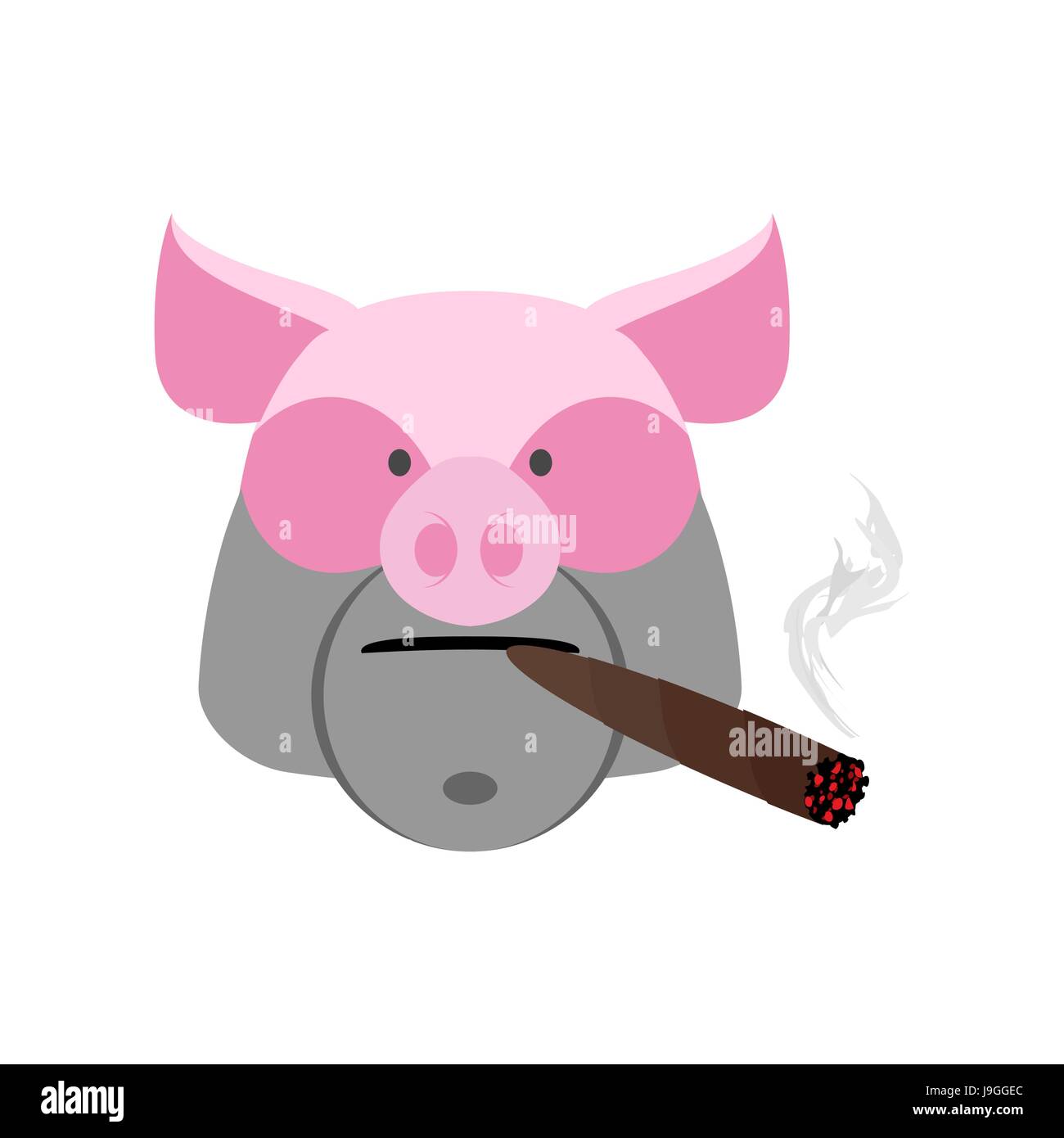 Angry boar with cigar. Aggressive pig isolated Stock Vector