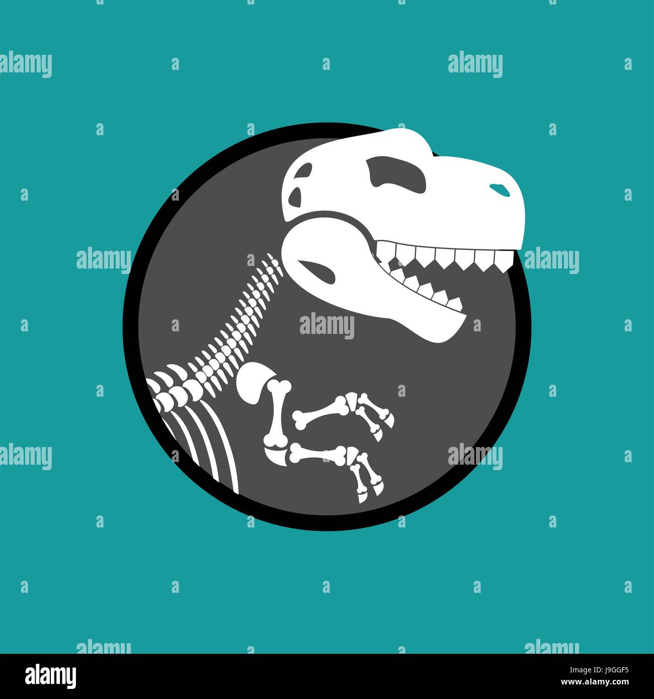 Dinosaur skeleton isolated. Remains of Tyrannosaurus. Skull T-Rex. Prehistoric monster. Ancient reptiles. Predator Jurassic Stock Vector