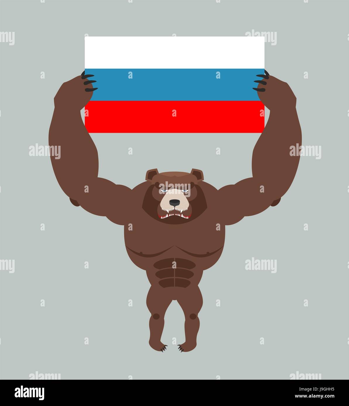 Russian aggressive bear. Angry animal holds Russian flag. Ferocious wild beast. Forest monster with big teeth and claws Stock Vector