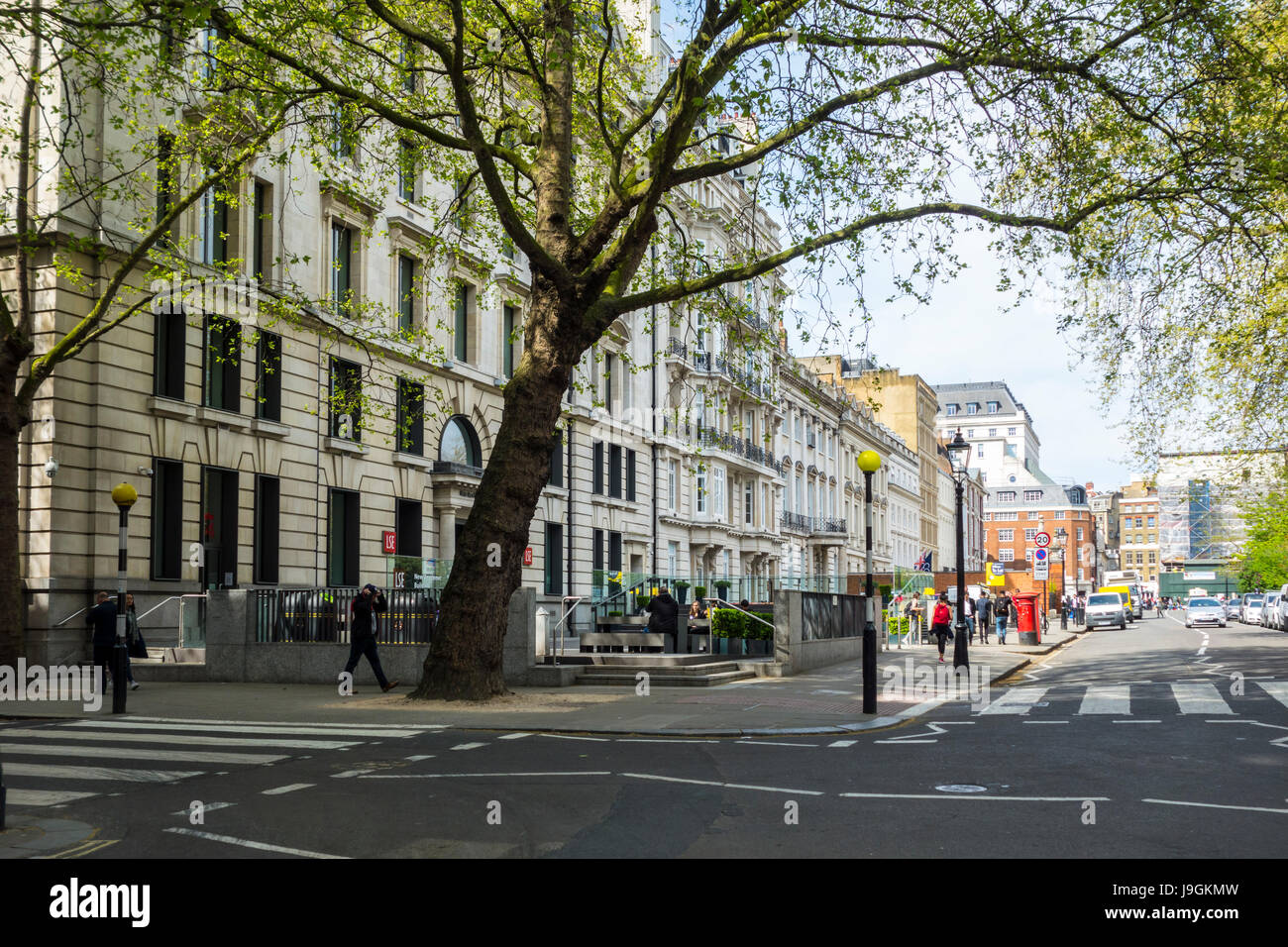 Pedestrian crossings on Lincoln’s Inn Fields looking towards the LSE Department of Law, City of London, UK Stock Photo