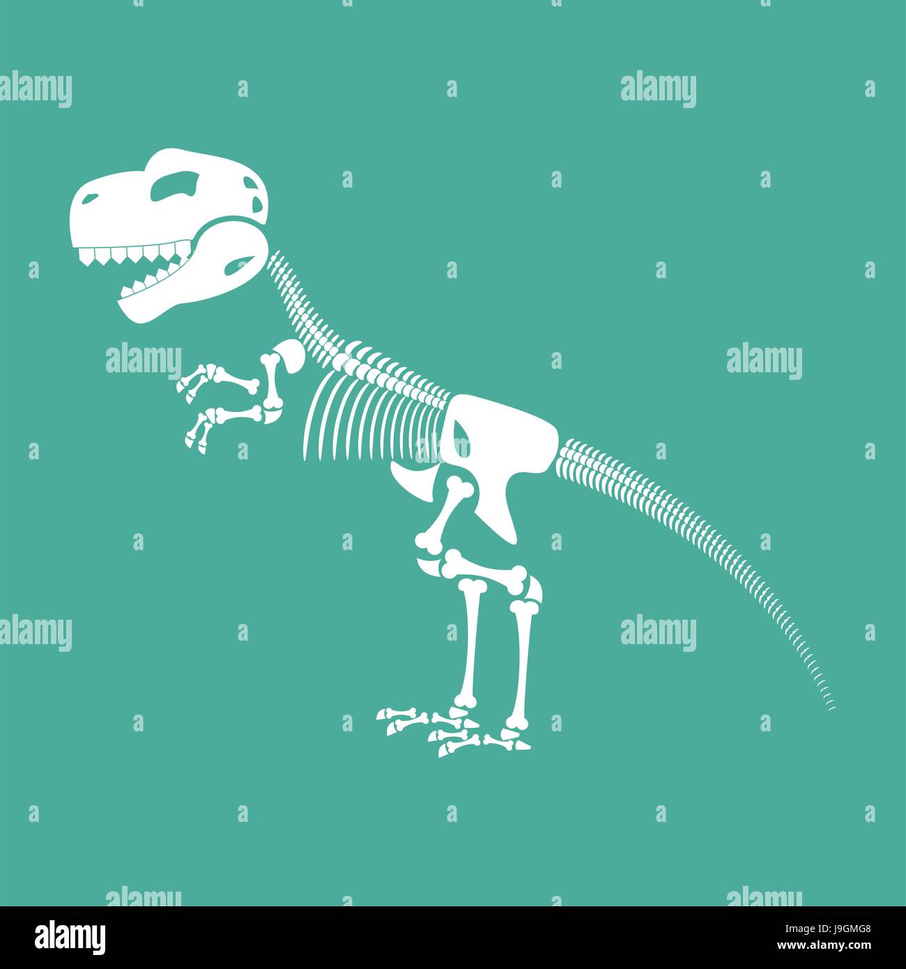 Skeleton dinosaur isolated. Dino Bones. Tyrannosaurus Skull. Prehistoric reptile Stock Vector