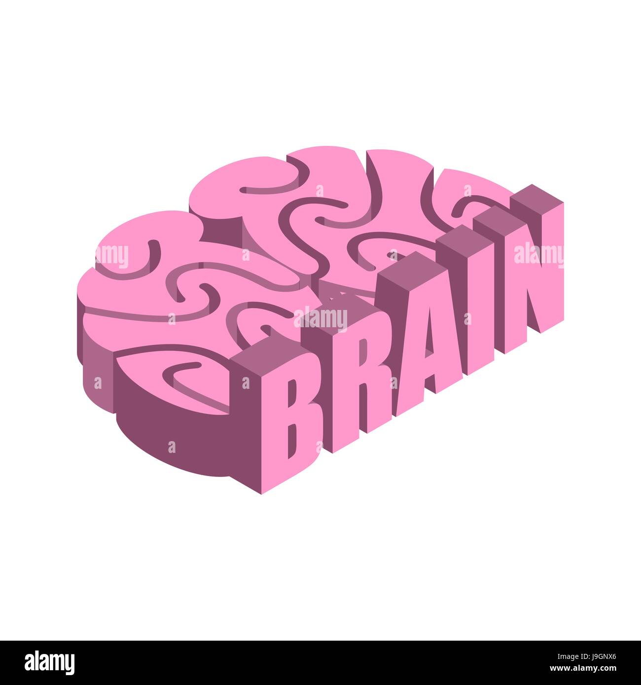 Brain isolated. Human brains on white background Stock Vector Image ...