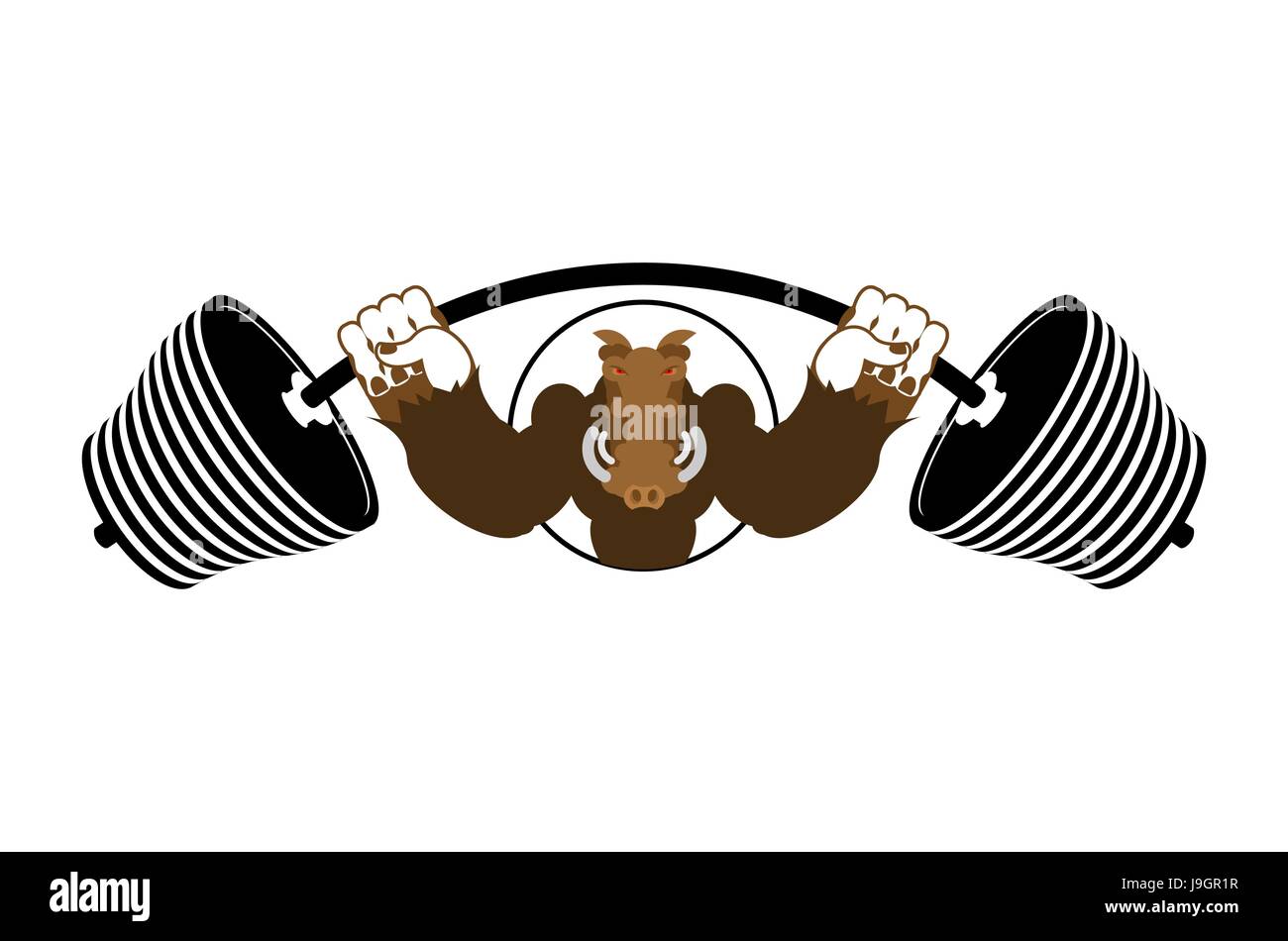 Strong angry boar warthog. Wild boar and barbell. Emblem for sports team Stock Vector