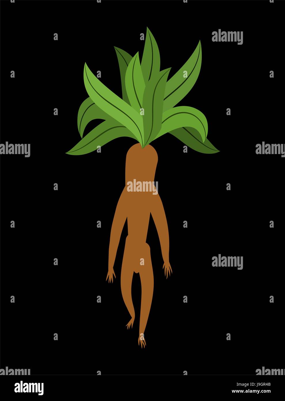 Mandrake root isolated. Legendary mystical plant in form of man. Stock Vector