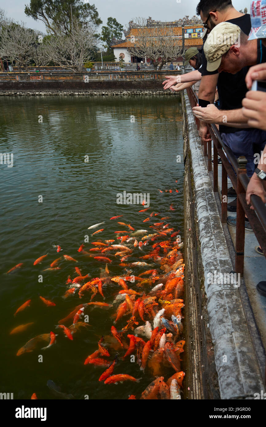 Tourists looking at ornamental koi fish in a pond at historic Hue Citadel (Imperial City), Hue, North Central Coast, Vietnam Stock Photo