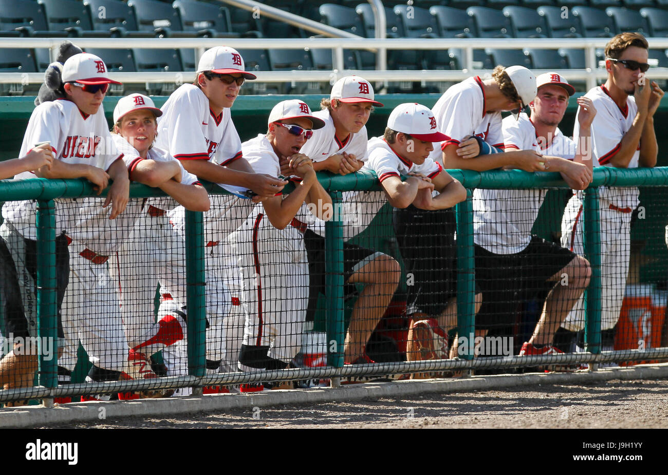 Fort Myers, Florida, USA. 1st June, 2017. MONICA HERNDON | Times.Dunedin Falcons players watch from the dugout during the sixth inning of the class 6A semifinal at Hammond Stadium in Fort Myers, Fla., on June 1, 2017. Jesuit defeated Dunedin 7 to 0. Credit: Monica Herndon/Tampa Bay Times/ZUMA Wire/Alamy Live News Stock Photo
