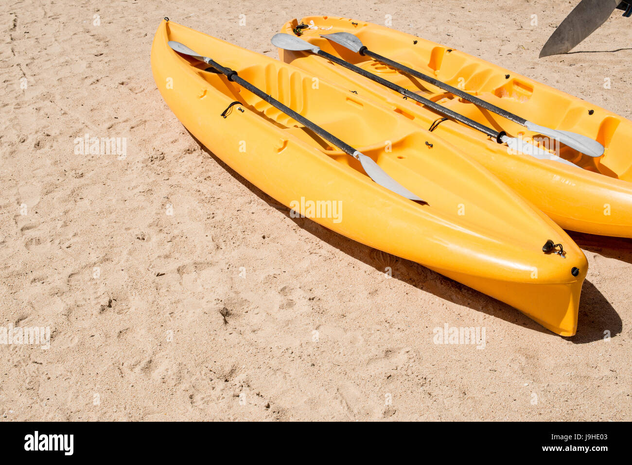 Yellow kayaks and paddles on sand beach Stock Photo