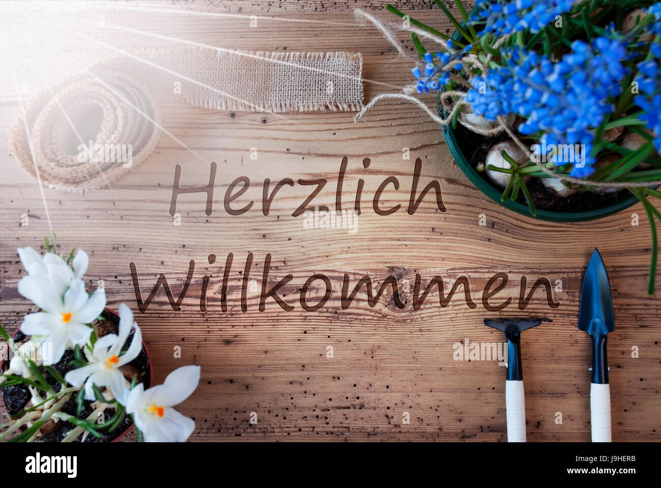 Sunny Spring Flowers, Herzlich Willkommen Means Stock Photo Alamy